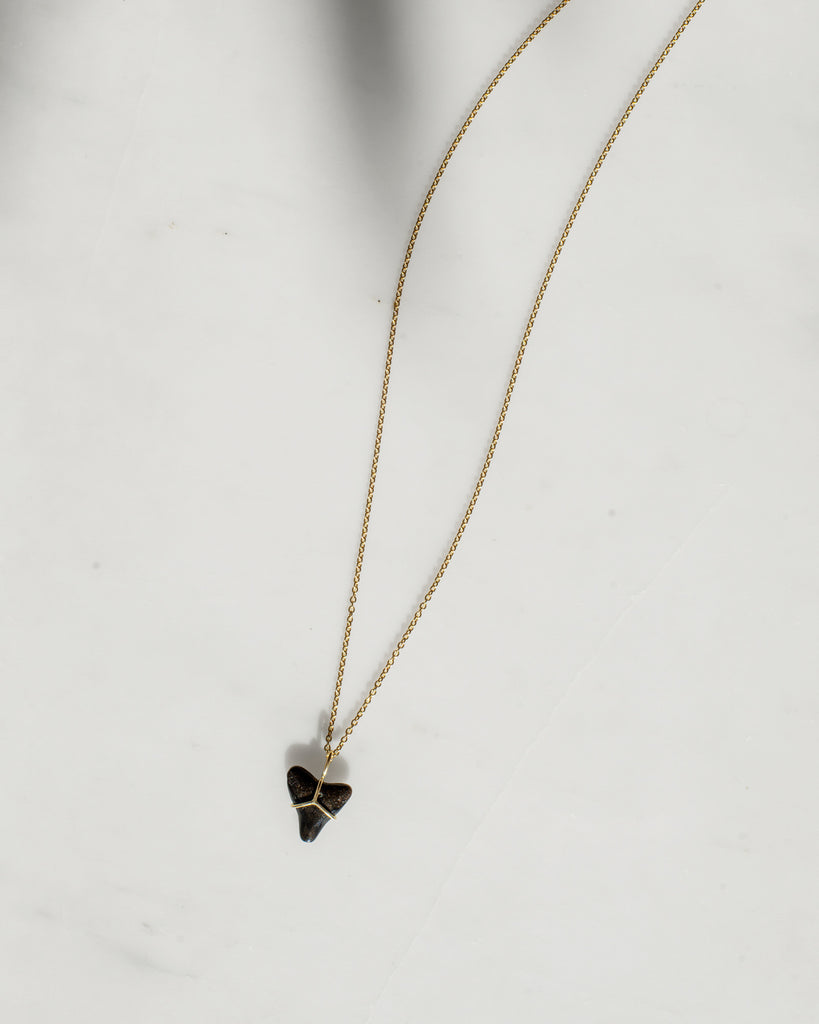 14K Shark Tooth Pendant Necklace
